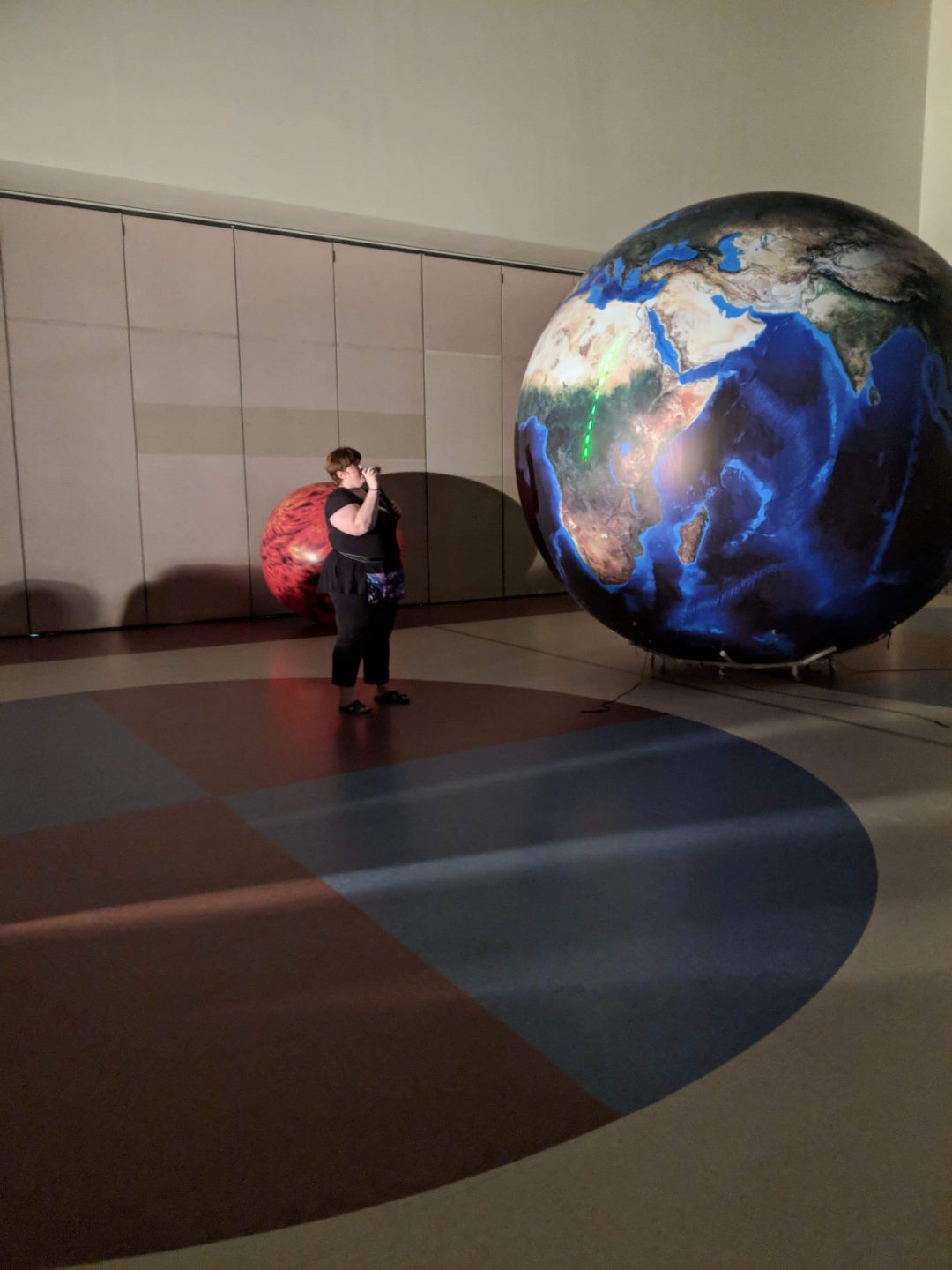 Hawk Ridge Elementary Big Canyon Balloon & Orbit Earth Expo