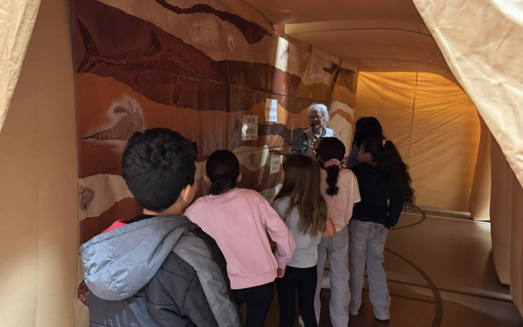 Deer Park Elementary